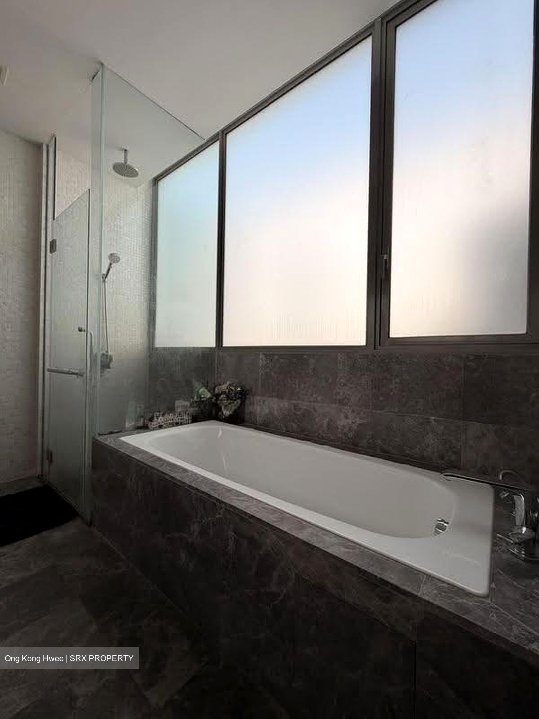 Katong Regency (D15), Apartment #610463711